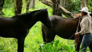 Around Costa Rica Horses with Diego