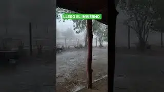 Lluvia en mi llano Venezolano #musicallanera #llano #joropo