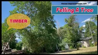 Felling A Tree