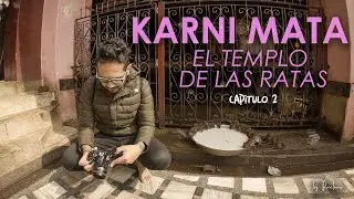 KARNI MATA, fuimos al templo de las ratas sagradas (CAPÍTULO 02)
