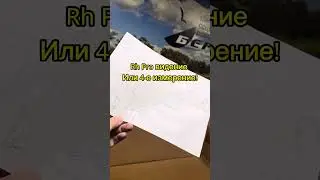 22 ноября 2023 г.