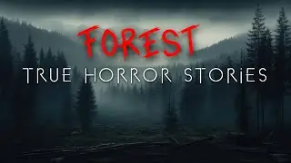 3 Unnerving Forest Hiking & Camping Horror Stories