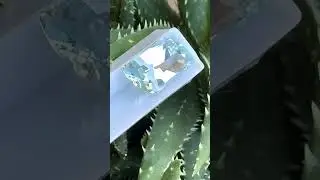 W1961-topaz-natural-blue-russia-16.93-carat-ravenstein