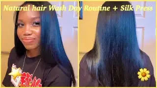 Natural Hair Wash Day Routine for Healthy Hair Plus Silk Press