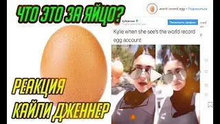 ЧТО ЭТО ЗА МЕМ С ЯЙЦОМ | РЕАКЦИЯ КАЙЛИ ДЖЕННЕР НА ЯЙЦО