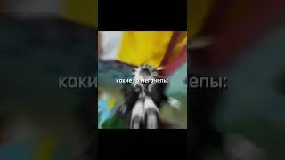 ВЗЛОМ РОБЛОКСА #roblox #губкабобквадратныештаны #рыба #роблокс #брукхейвен #баги