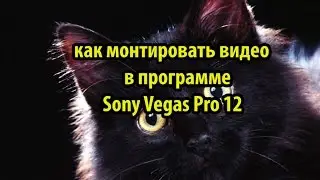 Как монтировать видео в программе Sony Vegas Pro 12( 1 Часть )