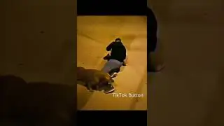 Dog Skills 🔥  @.mf7.amp(TikTok)  #shorts #dog