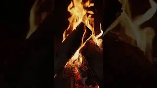 Выпускаем?
