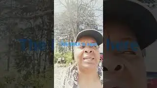 Justice is coming for black women