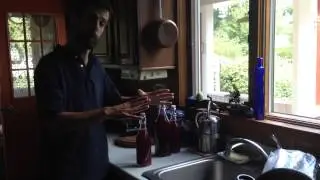 Naturally Carbonated Lacto-fermented Soda