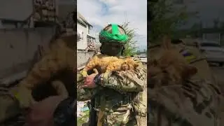 Событие в Украине 🇺🇦. Украинский солдат спас жизнь рыжему коту!