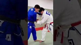 MICRO JUDO with Shintaro Higashi