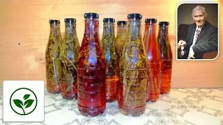Бальзам Болотова 🍾 с целебными 🌺 травами или "Царская водка" без алкоголя.