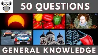 General Knowledge Quiz Trivia #175 | Eclipse, Bell Pepper, Car Race Track, Tallin, Shoulder Muscle