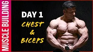 Muscle Building Workout Series - Day 1 | Chest and Biceps