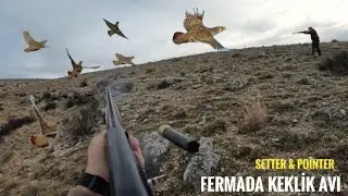 Fermada Keklik Avı / Partridge Hunt / Freckled Partridge / صيد الكينا والحجل المنمش /