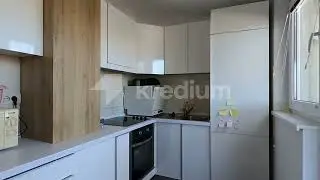 Pukovnika Petra Mišića