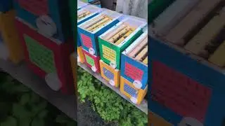 Один из способов заселения нуклеусов, 2 часть