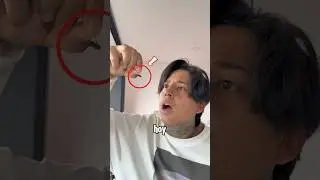 Un panal de abejas se metió a mi casa