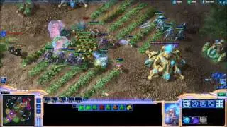 Starcraft Sunday Episode 6