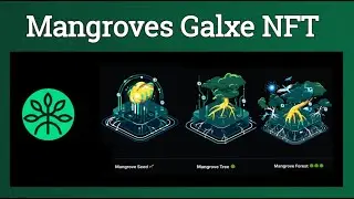 Mangrove Community Campaign