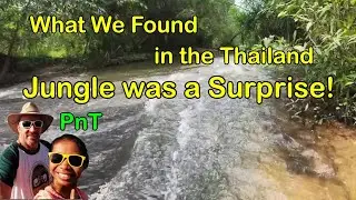 Thai Jungle Surprise