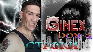 РЕАКЦИЯ НА   Don-a (Ginex)-Строки  2020