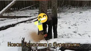 Раскряжёвка бурелома новая лесосека на 206 куб