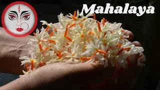 Mahalaya 23 | Mahalaya Status Video 2023