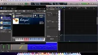 Samplemodeling The Trumpet MUTE DEMO