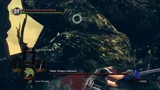 Dark Souls Remastered - Black Dragon Kalameet