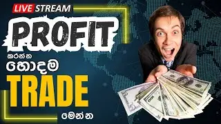 Cryptocurrency Trading Opportunities |2024|09|28| at 8.00 pm