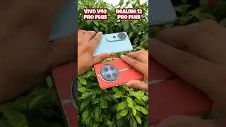 Vivo V40 Pro vs Realme 12 Pro Plus Camera Test