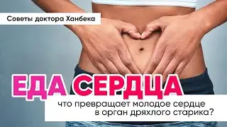 Что превращает молодое сердце в орган дряхлого старика? | Доктор Ханбек