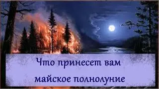 Расклад - таро : Что принесет вам майское полнолуние