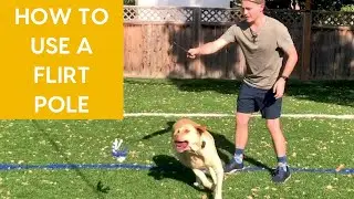 How to Use a Flirt Pole