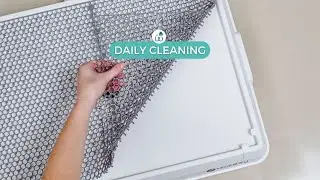 DAILY CLEANING