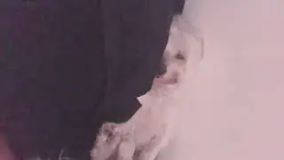 A Luna hoje estar cansada com muita preguiça