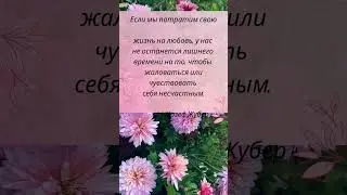 Стань хозяином жизни / Мудрость жизни