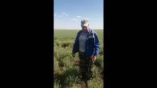 борьба с горчаком