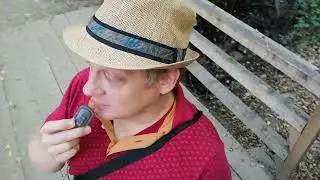 26 октября 2019 г.