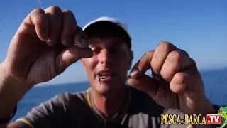 Marco Volpi spiega come PESCARE le SEPPIE (completo)