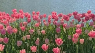 Мой второй день в другом городе♡♡♡Летний влог♡Поход в супермаркет