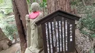 Zenfone8 4K Video Test