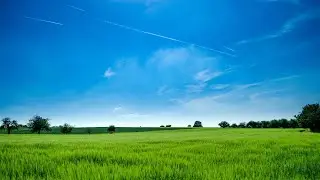 Лечебная музыка для сердца. Нежная музыка, Relaxation, Meditation