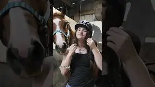Workout My Barrel Horse With Me! 
