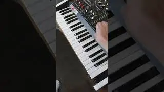 Cat x Bob C's Phaser !! 🐈‍⬛ The Video Burnout EP is out today !  #samplesfrommars #videoburnout