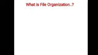 File Organization