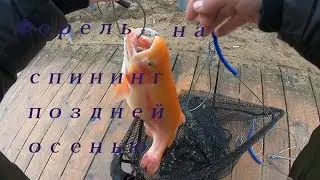 Поймал-съел!!! или крупная  Форель на платнике)